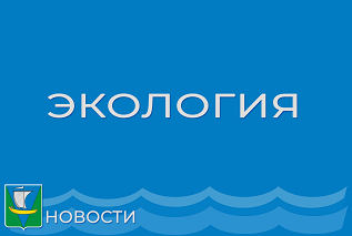 Министерство природных ресурсов и лесопромышленного комплекса Архангельской области информирует Министерство природных ресурсов и лесопромышленного комплекса Архангельской области информирует