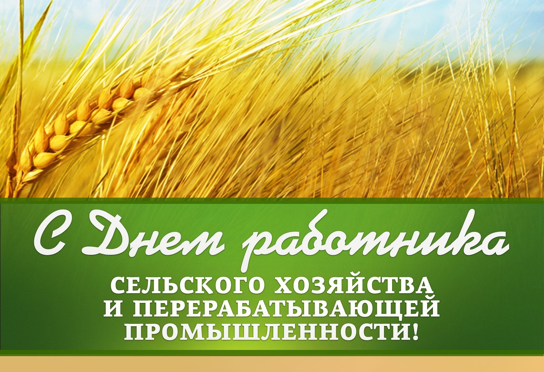 Уважаемые ветераны сельскохозяйственного производства, труженики села, работники агропромышленного комплекса!