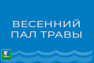 Весенний пал травы преступление против природы Весенний пал травы преступление против природы