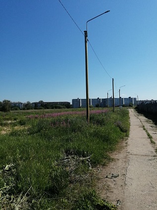 Приняты работы по благоустройству территории в деревне Часовенское Приняты работы по благоустройству территории в деревне Часовенское