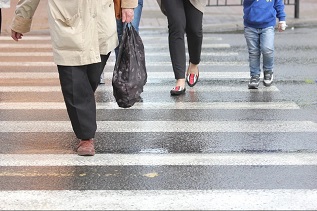 Муниципалитеты Поморья получат 18 млн рублей на модернизацию пешеходных переходов и светофорных объектов
