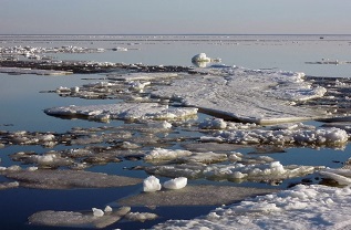 Прогноз развития ледохода Прогноз развития ледохода