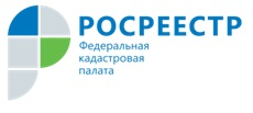 Кадастровая палата подвела итоги горячей линии