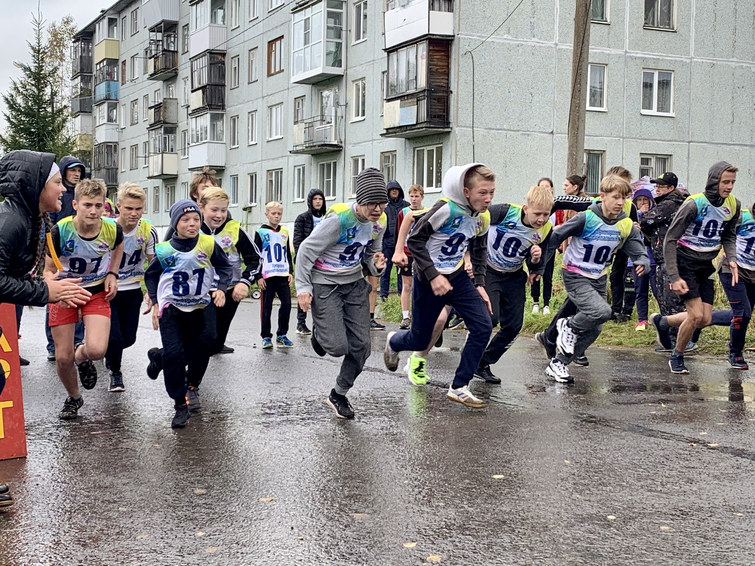 Кросс наций в Приморском районе 