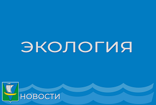 Министерство природных ресурсов и лесопромышленного комплекса Архангельской области информирует