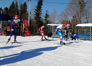 Ориентировщики Приморского района завоевали 11 медалей на областных соревнованиях