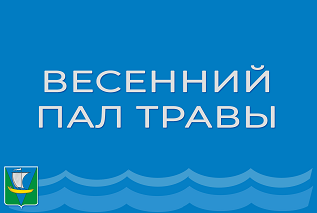 Весенний пал травы  преступление против природы