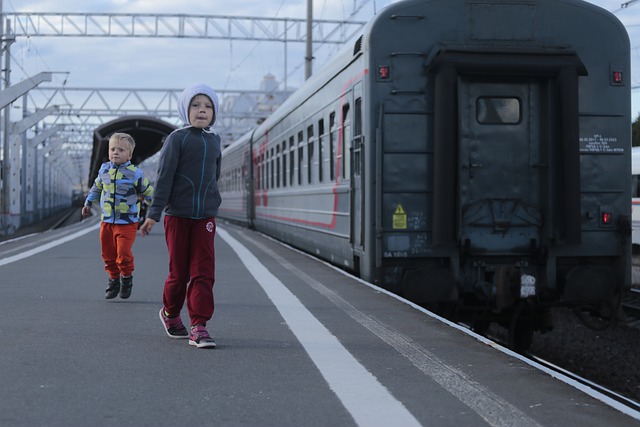 Компенсация проезда ребенка в детский оздоровительный лагерь Компенсация проезда ребенка в детский оздоровительный лагерь
