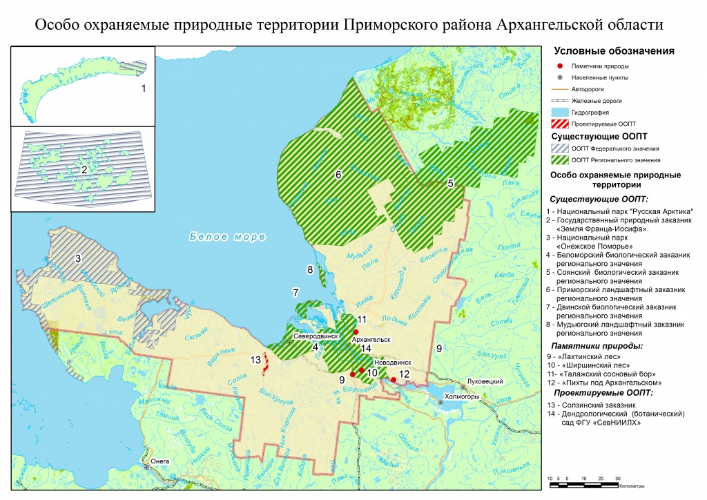 Какая природная зона в архангельской области